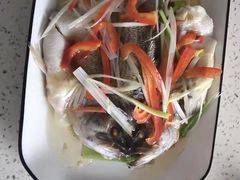 -田螺阿姨自营月嫂·育儿嫂(高新店)