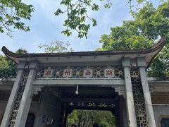-谢怀亮芝麻茶