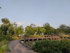 -西昌邛海湿地