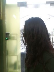 -大象造型