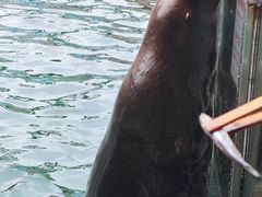 -大连老虎滩海洋公园