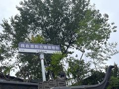-恩阳古镇