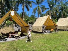 -芭厘·农庄老字号.电饭煲五指毛桃焗鸡