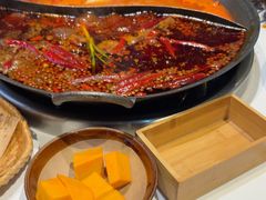 -卤校长老火锅(杨家坪直营店)