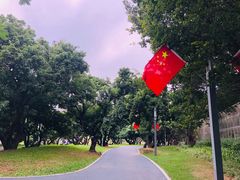 -四海公园(南山区)
