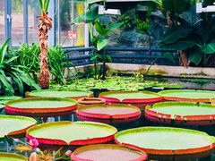 -国家植物园南园