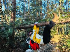 -南京市无想山景区