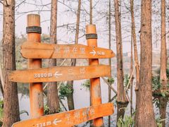 -重庆彩云湖湿地公园