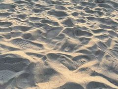 -台场海滨公园船码头