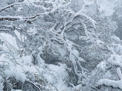 -瓦屋山景区