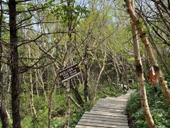 -白草畔自然风景区