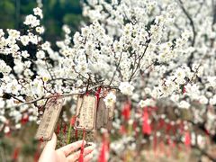 -中国大竹海景区