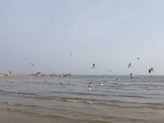 -老虎石海上公园