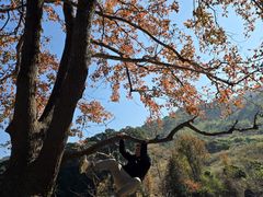 -广州市流溪河国家森林公园