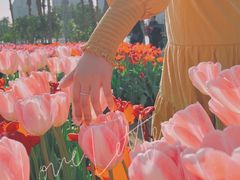 -厦门园林博览苑