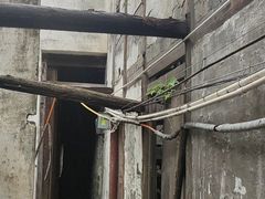 -黎里古镇