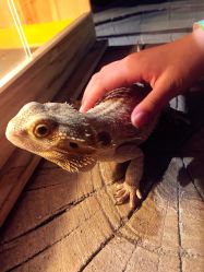 -酷嗒动物文化乐园(cutezoo西溪乐天城店)