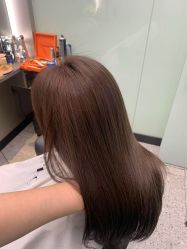 -YESIDO椰岛造型