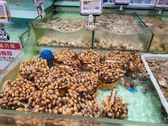 -盒马鲜生(财富中心店)