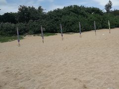 -白沙湾海滩