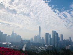 -荔枝公园-小平画像广场