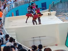 -秦皇岛乐岛海洋王国