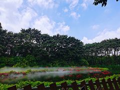 -广州长隆飞鸟乐园