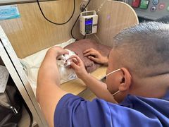-北京观赏动物医院·24小时大型综合·猫专科·异宠专科