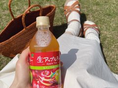 -鹅湖玫瑰文化园