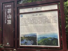 -东莞市大岭山森林公园