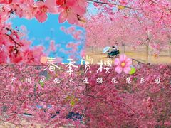 -天适樱花悠乐园