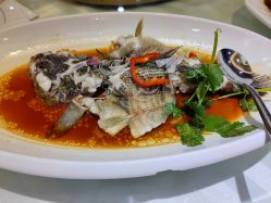 -锦城酒店·宴会厅