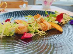 -蝶舍·MAISON PAPILLON