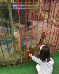 -萌宠亲子动物乐园(槐房万达店)