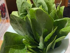 -曲氏老北京铜锅涮肉•火锅(不老街店)