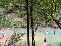 -广州白江湖森林公园