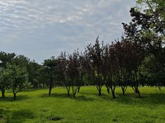 -太阳宫公园