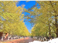 -辽宁大学(崇山校区)