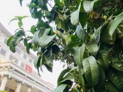 -杭州香格里拉·香宫中餐厅