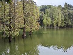 -广州市白云山风景名胜区