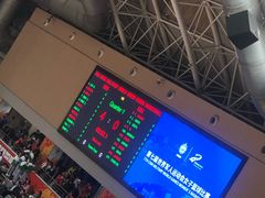 -华科光谷体育馆