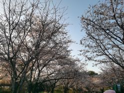 -玄武湖景区-情侣园游乐场
