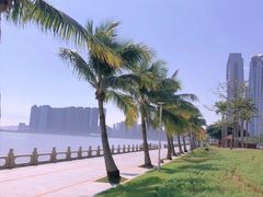 -港珠澳大桥(珠海段)