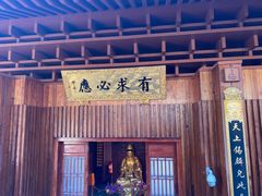 -深圳仙湖植物园