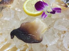 -蚝专家(北滘店)