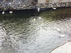 -北京水岸山吧度假村(雁栖镇店)