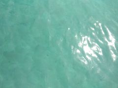 -东姑阿都拉曼海洋公园