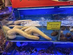 -新海渔港·胶东海鲜家常菜·家宴(奥体中心店)