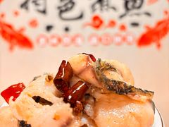 -金三可市井水煮鱼(金碧园店)