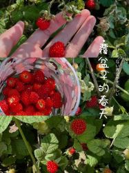 -美肤盾祛痘·问题肌头疗管理中心